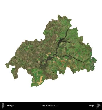 Avis. Portekiz idari bölgesi, Ocak 2020 'de çekilen Global Mozaik Sentinel-2 karolarından oluşan bir uydu görüntüsü ile beyaza izole edilmiştir.
