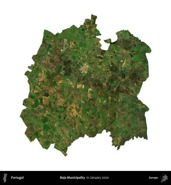 Beja Belediyesi. Portekiz idari bölgesi, Ocak 2020 'de çekilen Global Mozaik Sentinel-2 karolarından oluşan bir uydu görüntüsü ile beyaza izole edilmiştir.