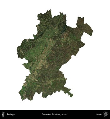 Santarem. Portekiz idari bölgesi, Ocak 2020 'de çekilen Global Mozaik Sentinel-2 karolarından oluşan bir uydu görüntüsü ile beyaza izole edilmiştir.