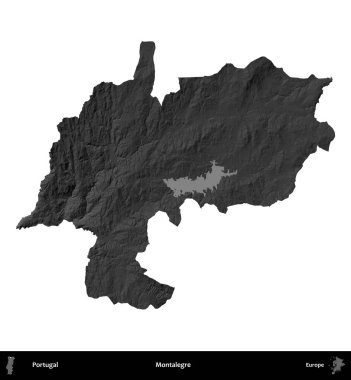 Montalegre 'de. Portekiz 'in idari bölgesi gri ölçekli yükseklik haritasında beyaza izole edildi