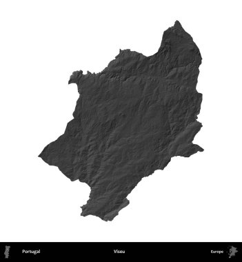 Viseu. Portekiz 'in idari bölgesi gri ölçekli yükseklik haritasında beyaza izole edildi
