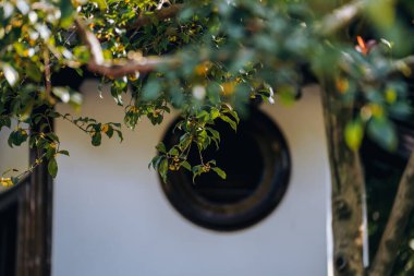 Guilin Park 'taki Tatlı Osmanthus ve Çin Klasik Mimarisi