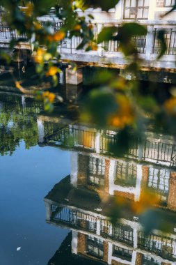 Guilin Park 'taki Tatlı Osmanthus ve Çin Klasik Mimarisi