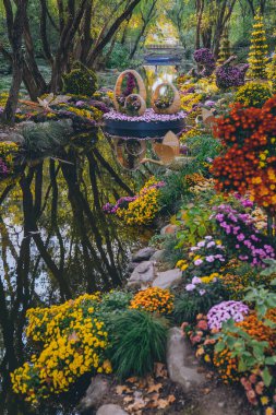 Kasımpatılar sonbaharın sonlarında parkta çiçek açar.