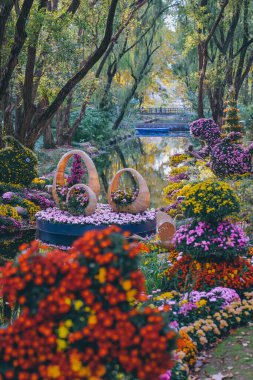 Kasımpatılar sonbaharın sonlarında parkta çiçek açar.