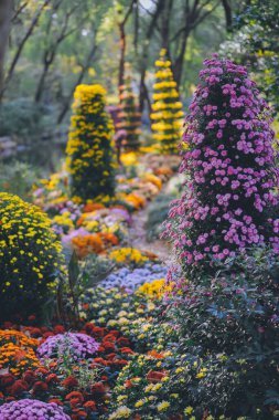 Kasımpatılar sonbaharın sonlarında parkta çiçek açar.