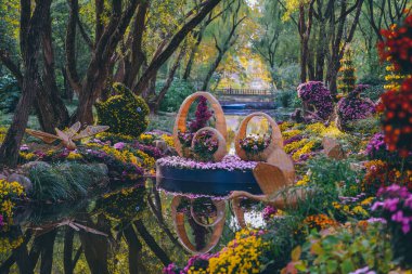 Kasımpatılar sonbaharın sonlarında parkta çiçek açar.