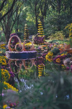 Kasımpatılar sonbaharın sonlarında parkta çiçek açar.