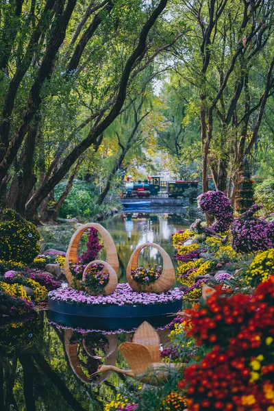 stock image Chrysanthemums bloom in late autumn in the park