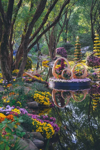 Chrysanthemen Blühen Spätherbst Park — Stockfoto