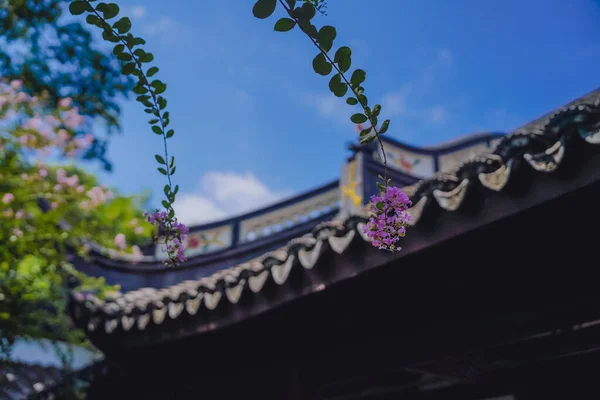Fialové Myrtové Květiny Čínských Zahradách Konci Léta — Stock fotografie