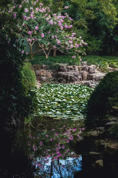 Fialové Myrtové Květiny Čínských Zahradách Konci Léta — Stock fotografie