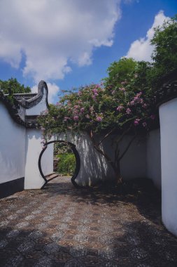 Yazın sonunda Çin bahçelerinde mor mersin çiçekleri