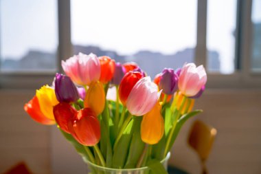 Güneş ışığında güzel bir lale buketi