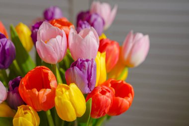 Güneş ışığında güzel bir lale buketi