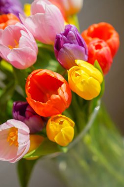 Güneş ışığında güzel bir lale buketi