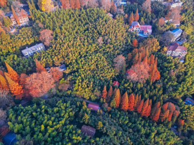 Mogan Dağı 'ndaki güzel sonbaharın hava fotoğrafları.