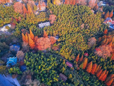 Mogan Dağı 'ndaki güzel sonbaharın hava fotoğrafları.