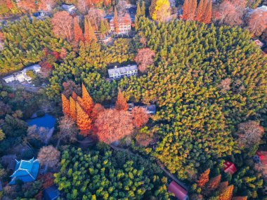 Mogan Dağı 'ndaki güzel sonbaharın hava fotoğrafları.