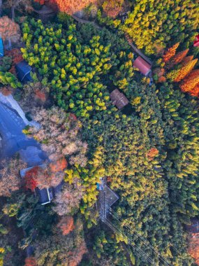 Mogan Dağı 'ndaki güzel sonbaharın hava fotoğrafları.