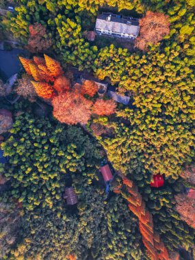 Mogan Dağı 'ndaki güzel sonbaharın hava fotoğrafları.