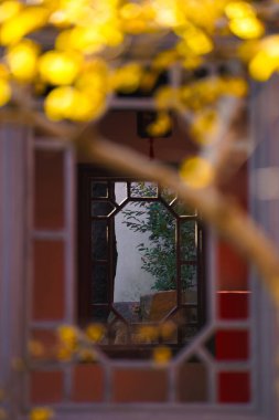 Çin Antik Mimari ve Erik Çiçekleri