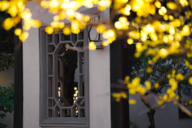 Çin Antik Mimari ve Erik Çiçekleri