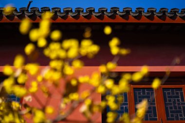 Çin Antik Mimari ve Erik Çiçekleri