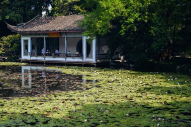 Yazın nilüfer havuzu Monet 'nin bahçesine benzer. Turuncu balıklar suda ileri geri yüzerler.