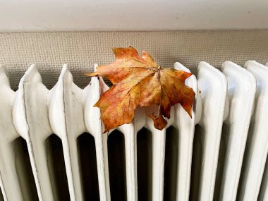 Autumn leaf lies on the heating radiator in the apartment. High quality photo clipart