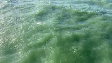 Soğuk denizin azgın yeşil dalgaları. Yüksek kaliteli FullHD görüntüler