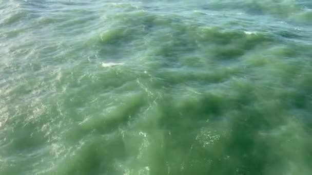 Soğuk Denizin Azgın Yeşil Dalgaları Yüksek Kaliteli Fullhd Görüntüler — Stok video