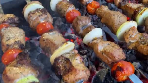 Carne Pincho Con Verduras Sobre Carbones Quemados Imágenes Fullhd Alta — Vídeos de Stock