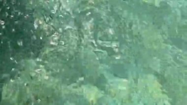 Temiz mavi suyun yüzeyi su sıçratır. Titreşimler ve dalgalar. Yüksek kaliteli FullHD görüntüler