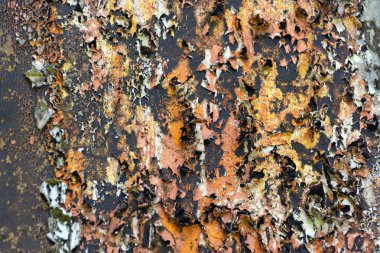 Duvardaki farklı renklerin soyulması. Yüksek kalite fotoğraf