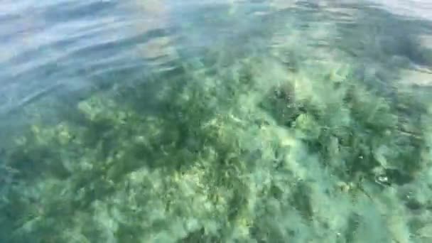 透明な海水に囲まれた小さな熱帯の島 海の太陽 素晴らしい天気 — ストック動画