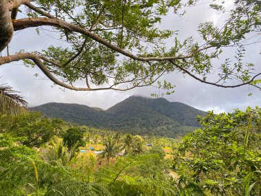Mavi gökyüzüne ve bulutlara karşı palmiye ağaçlarıyla kaplı tropik tepeler. Yüksek kalite fotoğraf