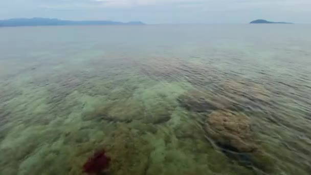 Meeresboden Mit Korallen Unter Kristallklarer Wasseroberfläche Boot Hohe Geschwindigkeit — Stockvideo