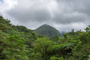 Dağ ve ormanın üzerinde bir sürü bulut var. Yüksek kalite 4k görüntü