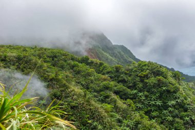 Dağ ve ormanın üzerinde bir sürü bulut var. Yüksek kalite 4k görüntü