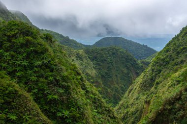 Dağ ve ormanın üzerinde bir sürü bulut var. Yüksek kalite 4k görüntü