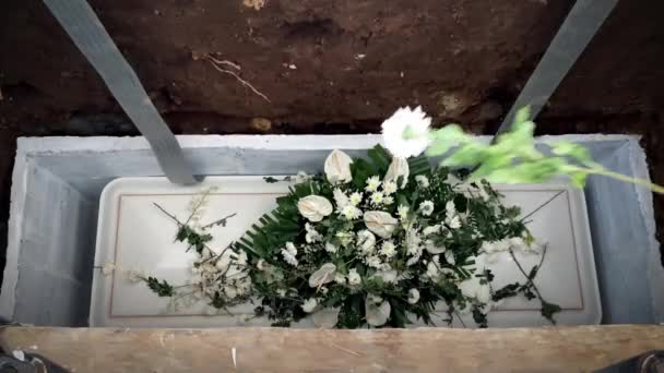 Des Fleurs Sur Couvercle Cercueil Sont Jetées Dans Tombe Des — Video