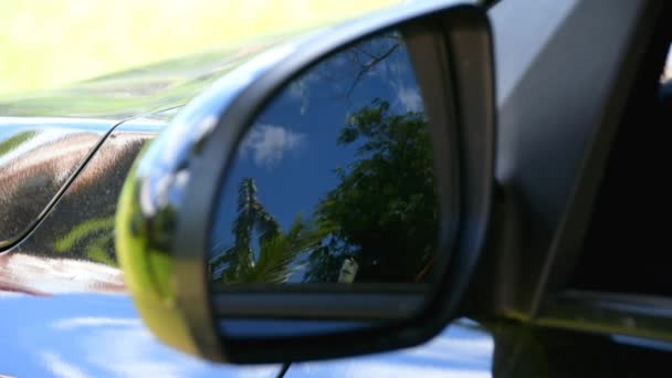 Reflection Tropical Landscape Rear View Mirror Car High Quality Fullhd — Stock Video