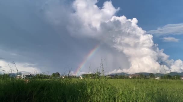 雨の後の雲の間の距離にあるフィールドの上に虹 フルHd映像 — ストック動画
