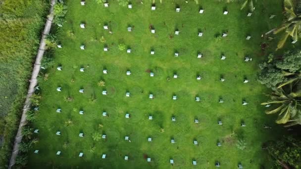 Luftaufnahme Einer Hahnfarm Mit Kleinen Häusern Für Die Hähne Hühnerfarm — Stockvideo