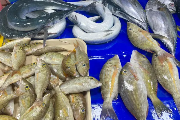 Fresh variety of fish at a fish market in Asia. Freshly caught fish. Market in the Philippines.