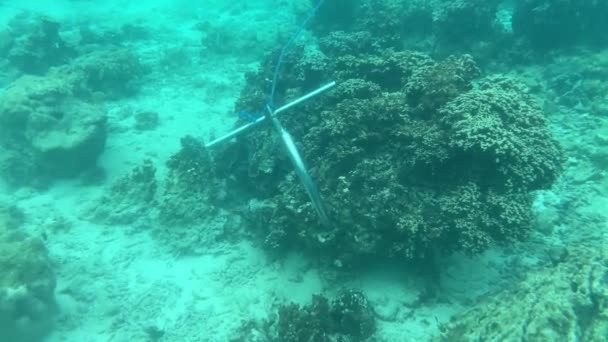 Ancla Fondo Atrapada Arrecife Coral — Vídeo de stock