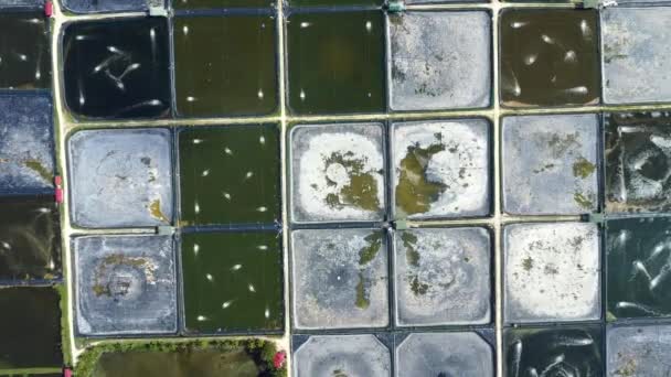 从空中俯瞰养鱼场 虾场人工鱼塘 设有空气泵 供养鱼之用 — 图库视频影像