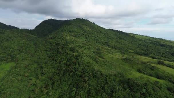 Hareket Halindeki Tropik Bir Dağın Havadan Görünüşü Yüksek Kalite Görüntü — Stok video
