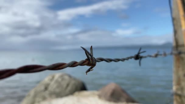 海の背景に対する有刺鉄線 閉鎖された囲まれた区域 — ストック動画